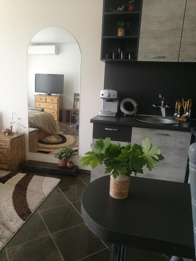 Studio Anastasia Sapareva Banya Ngoại thất bức ảnh