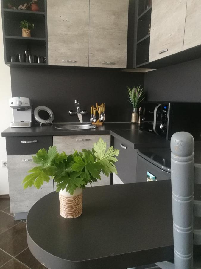 Studio Anastasia Sapareva Banya Ngoại thất bức ảnh