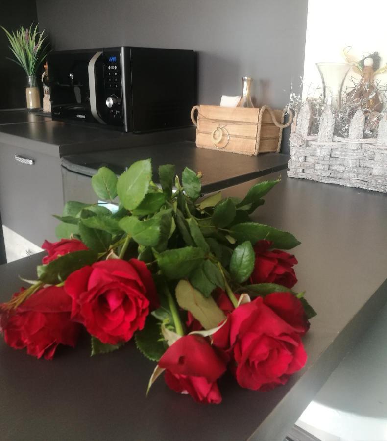 Studio Anastasia Sapareva Banya Ngoại thất bức ảnh