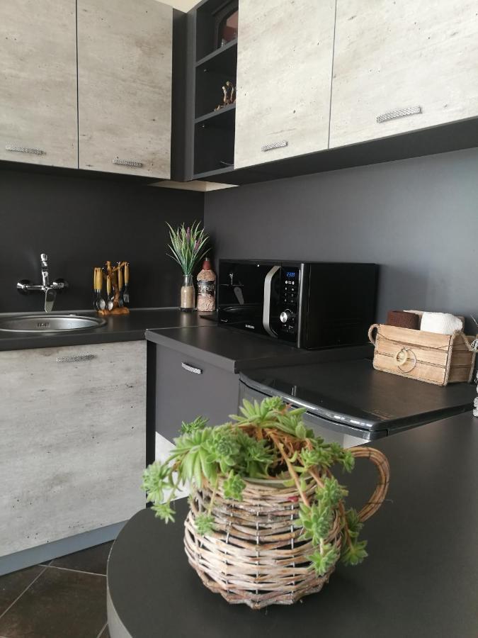 Studio Anastasia Sapareva Banya Ngoại thất bức ảnh